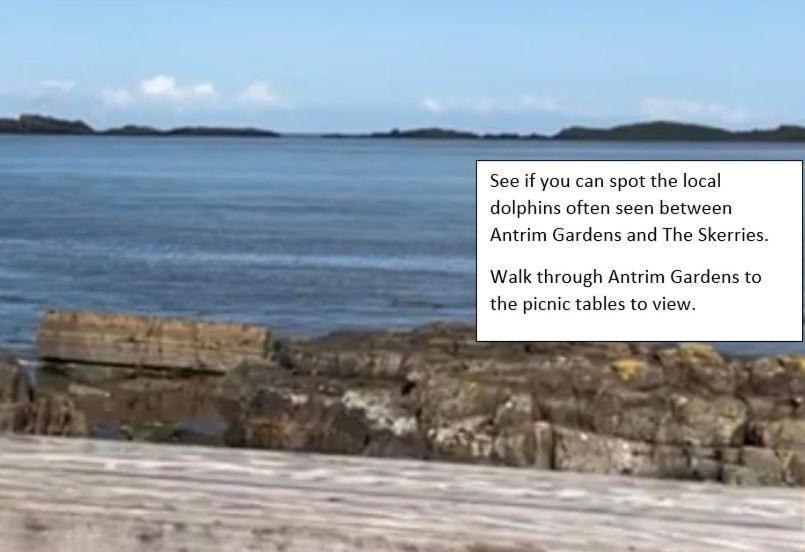 Apt3, No 2 Antrim Gardens, Portrush With Seaview Esterno foto